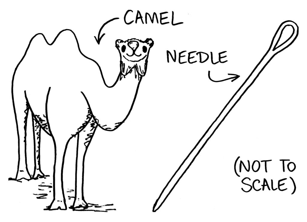 Camel and Needle