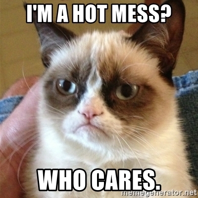 Hot Mess Cat Who Cares