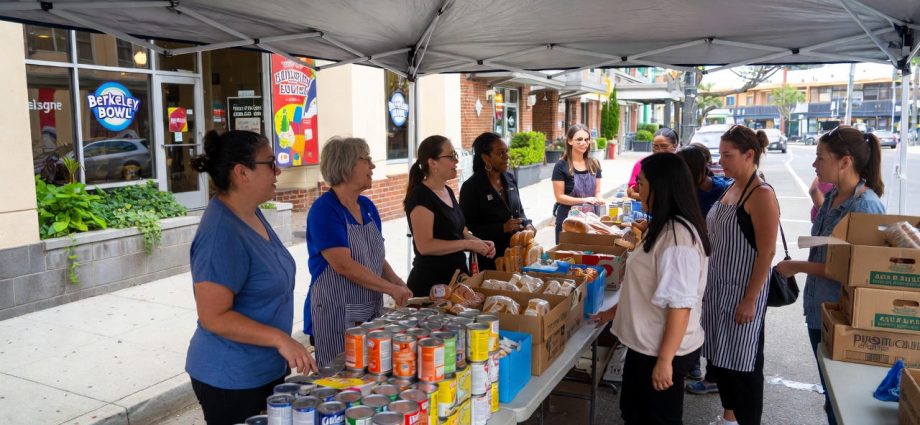 Sunday at Ashby Market LARP isn't Life