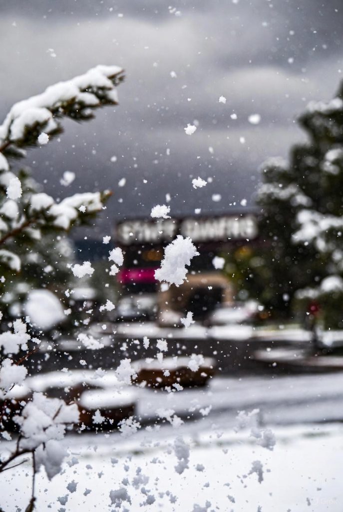 Wintry Mix Sexy Rubber Chickens